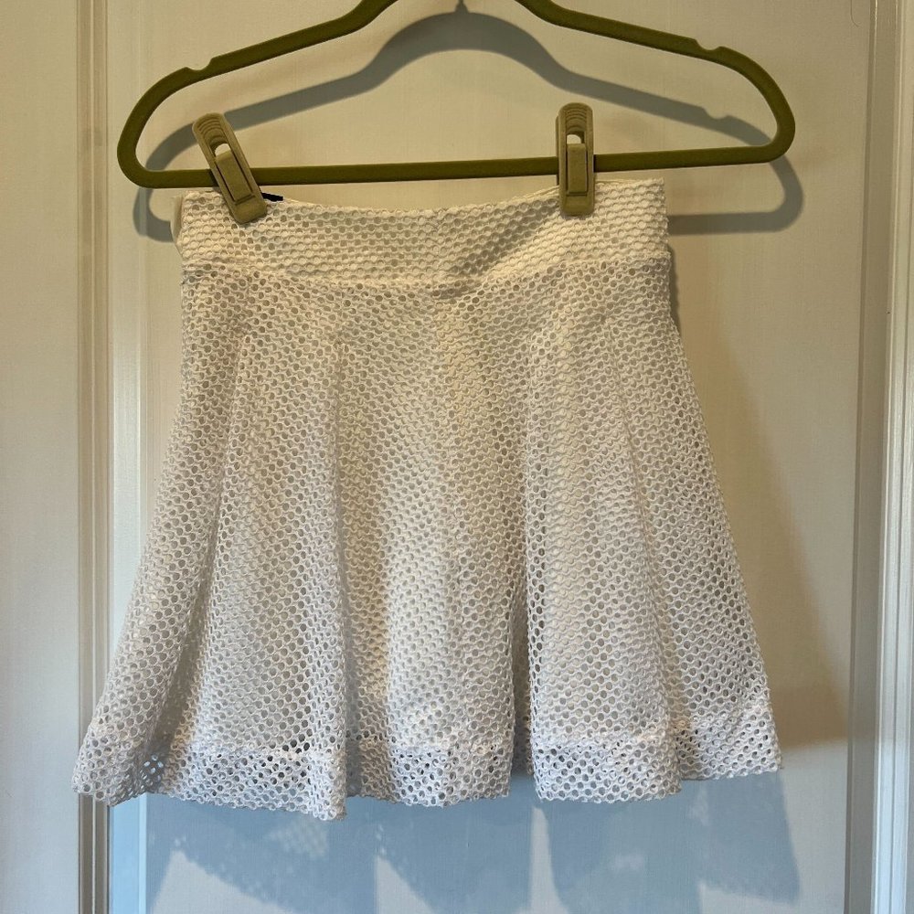 Banana Republic Pleated White Skirt with Net Overlay 00P